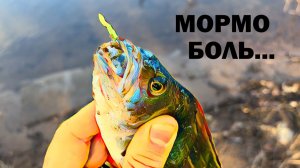 МОРМЫШИНГ ВОПРЕКИ...