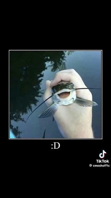 Хз Чо писать...... ХХААХХАХААХАХАХАХАХАХАХХАХА