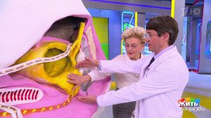 Жизнь после простатэктомии: шанс на выживание. Жить здорово! Фрагмент выпуска от 18.11.2025