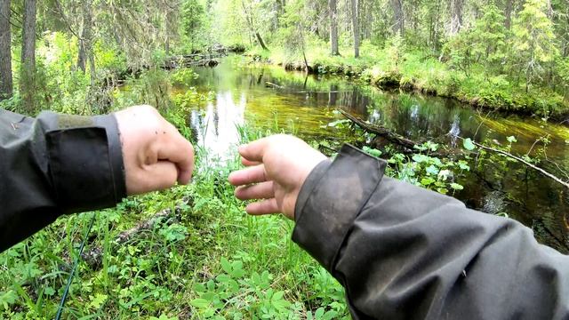 Открытие летнего сезона по хариусу №2.Отличный клев доброго хариуса на таежной речке.Душу отвел.