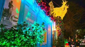 Геленджик зажигает огни