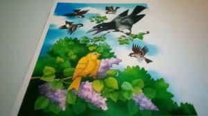Соловей и ворона. Татская сказка