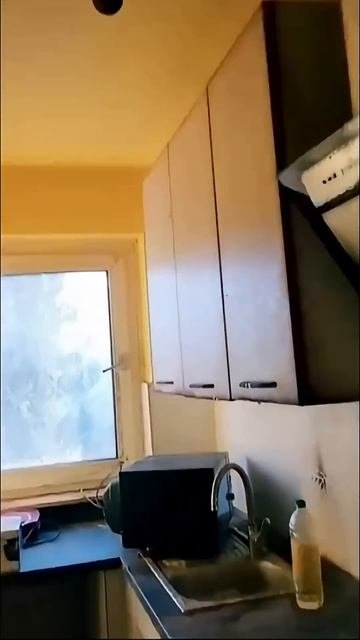 Сдал квартиру украинцам на свою голову смотреть онлайн