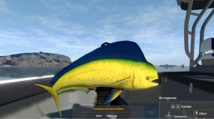 Fishing Planet. Кайро-Нори. Уникальная Махи-Махи. Миссия Солоноводная охота: Цепь кальмаров