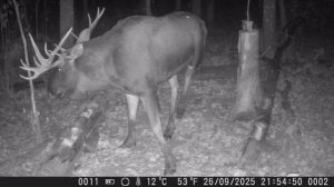 После такого невольно начнешь верить в суеверия и приметы!