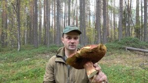 УШЕЛ В ТАЙГУ ЗА ГРИБАМИ/БЕЛЫЕ РАСТУТ НА БОРАХ ТОЛЬКО СОБИРАЙ/ПОИСК РЯБЧИКА У РУЧЬЯ/ОХОТА С МЕЛКАШКОЙ