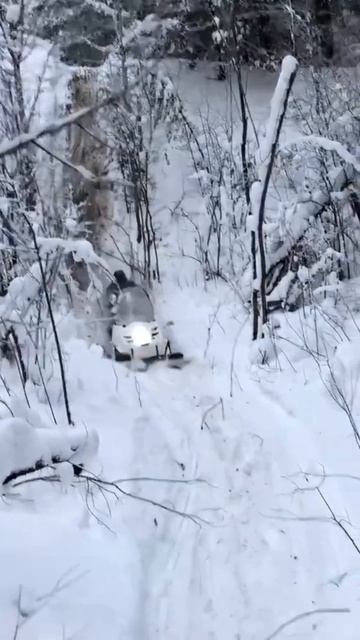 Двух лыжный буран 70 лс. смотреть онлайн