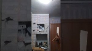 т