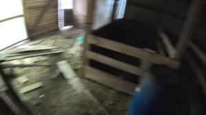 Страусы нападают ! Мама навела порядок ! Ловим рыбу ! ХУТОР В ЛЕСУ №871