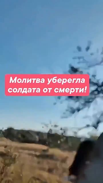 #сво смотреть онлайн