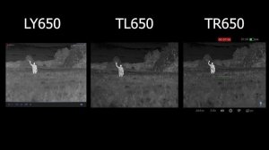 Сравнение милликельвинов в тепловизионных прицелах Longot