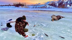 Хищник конкурент?! Рыбалка на хариуса на севере