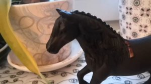 Обзор на всех моих фигурок лошадей!🥰