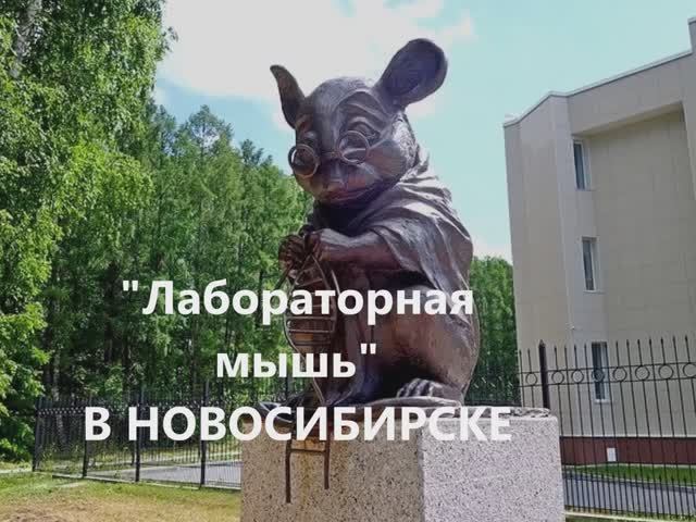 "НОВОСИБИРСК: Сибирское сердце в огнях! ✨ Город-миллионник смотреть онлайн