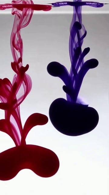 Колористика