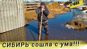 2 дня из жизни в деревне. Как животные и мы переживаем погодную аномалию.