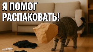 Смех до слёз: лучшие приколы №211