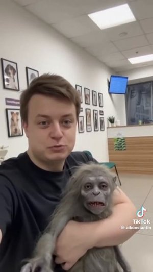 VID-20251117-WA0113.mp4