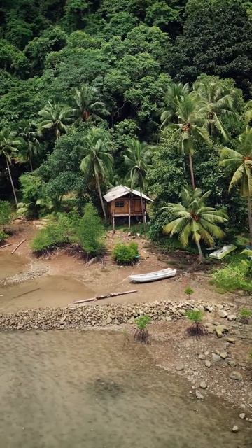 Fredo de Gaultier - Sudden Blow #Thailand #forest #river #house #bkk #bangkokcity #thaiarts смотреть онлайн
