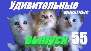 Удивительные животные #юмор #развлечения