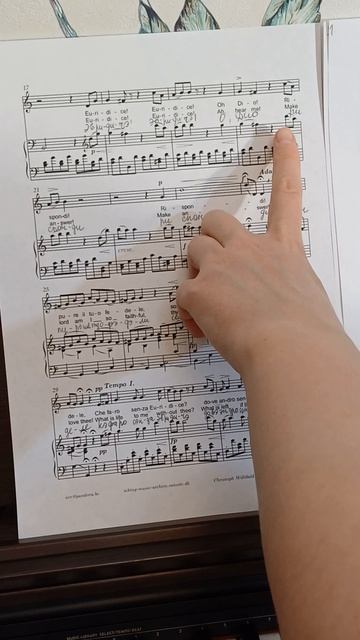 Глюк ария Орфея - разбор 1,2 страницы на итальянском смотреть онлайн