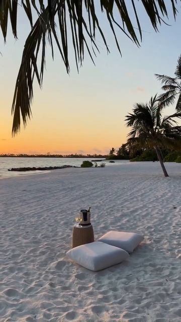 Fredo de Gaultier - Morning Bell #Maldives #beach #food #glass #water #babymoon #vacay #kagimaldives смотреть онлайн