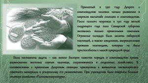 Сергей_Максмович_Тулайков_Дело_всей_жизни