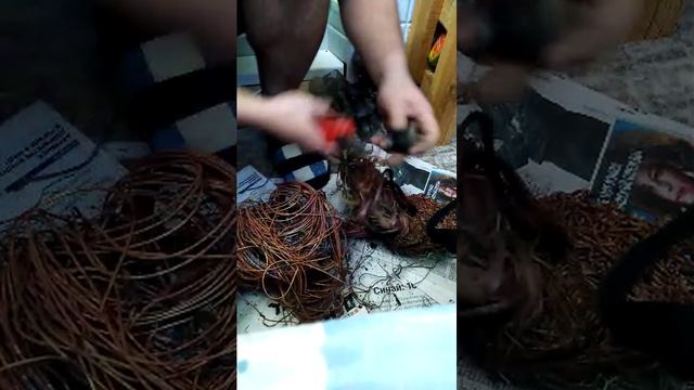 Утренний Обход принёс плоды смотреть онлайн