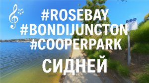 Видео для бега на беговой дорожке с музыкой | #Сидней |  #Sydney | 1080p | #бегнабеговойдорожке