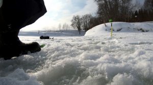 Хариус близ Перми.