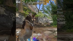 видео такое ужасное..