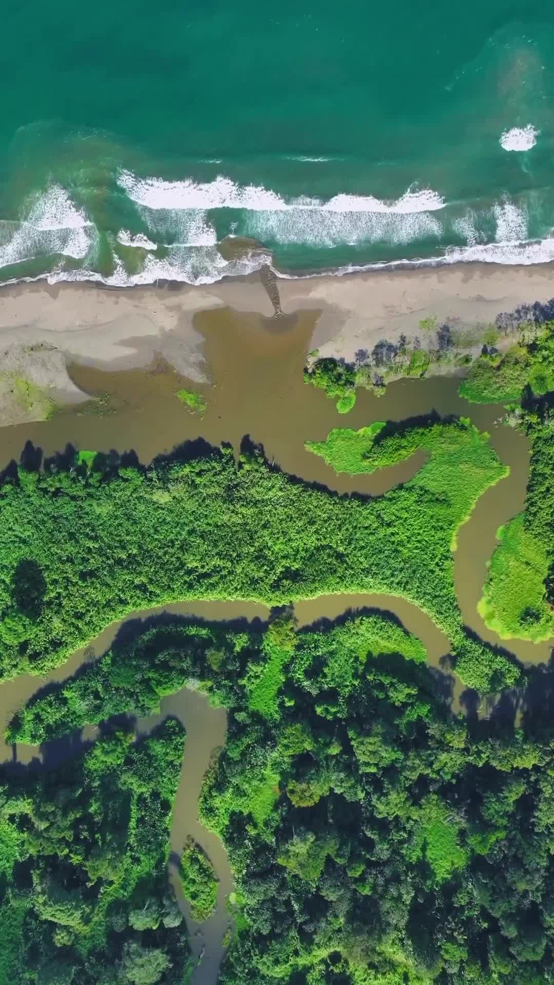 Более 25% территории Коста-Рики представляют собой национальные парки и заповедники, что делает э... смотреть онлайн