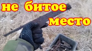 Металлокоп. Небитая полянка.