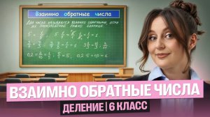 Взаимно обратные числа. Деление | 6 класс | Саша Теплая