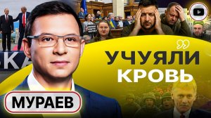 Шелест (иноагент в РФ) и Мураев : Зеленский в ловушке. Сделка с Трампом — единственный шанс спастись