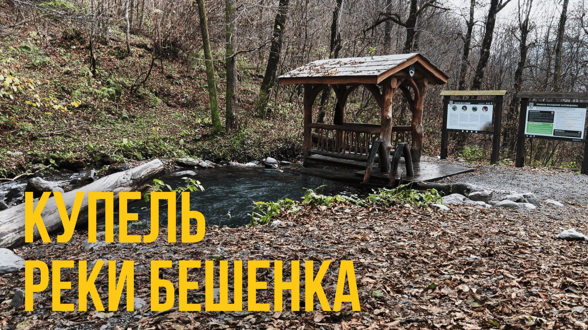 Сочи. Красная Поляна. Река Бешенка. ASMR