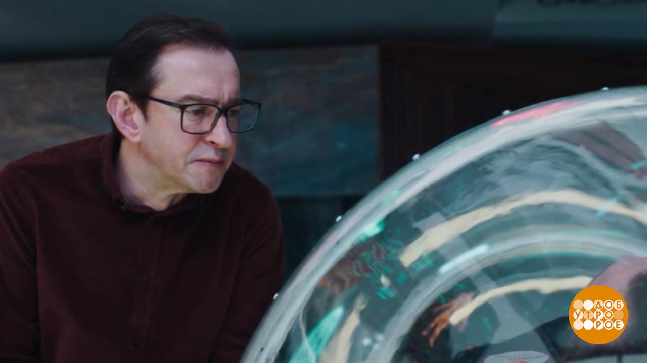 "Авиатор" идет на взлет. Доброе утро. Фрагмент выпуска от 18.11.2025 смотреть онлайн