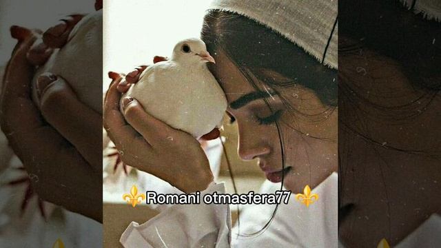 Песня 🎤🗣️#2025#🤌для души💫🫶
#ашунэнти пэ зорэс# смотреть онлайн