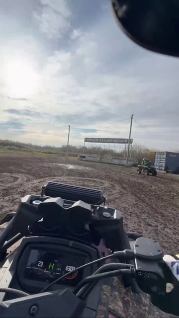 😎 И не поспорить ведь!