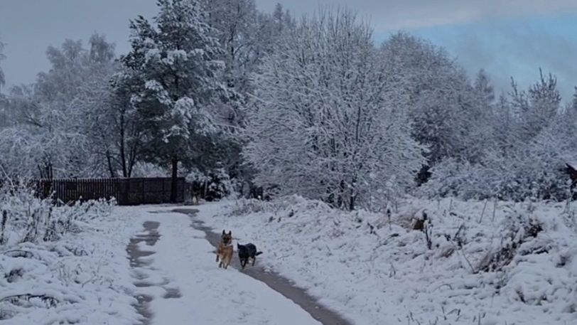 Про необычный день объединивший три времени года смотреть онлайн