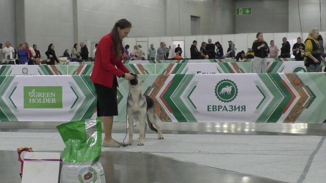 Тахакиро Восточный Охотник смотреть онлайн
