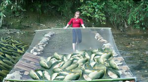 Невероятная техника ловли рыбы с использованием камней в ручье. Большой улов. Жизнь во Вьетнаме