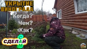 Укрытие винограда на зиму, самый простой и надёжный способ!