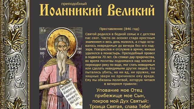 Житие преподобного Иоанникия Великого смотреть онлайн