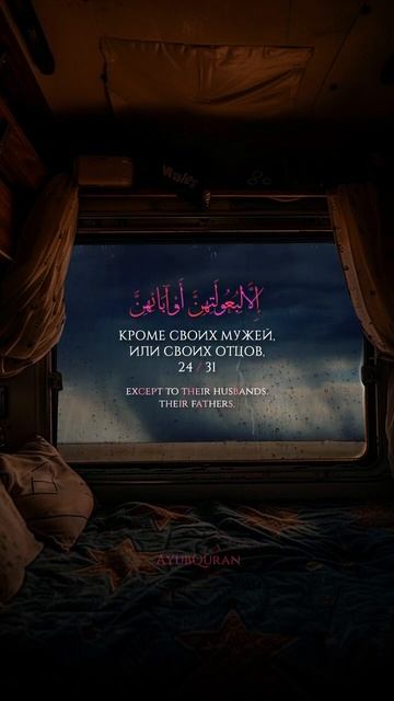 Сура 24 Ан-Нур аят 31 | Чтец: Умар Сильдинский смотреть онлайн