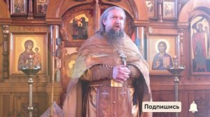 Почему прогнали Христа? | Проповедь о. Евгения Гуреева | ДРЕВО