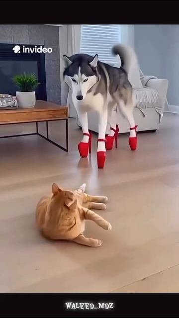 Эти забавные животные смотреть онлайн