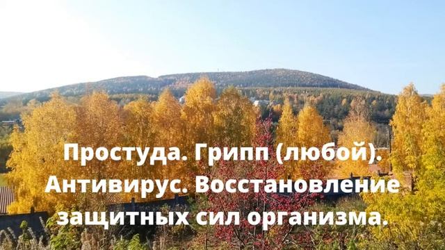 Простуда. Грипп (любой). Антивирус. Восстановление защитных сил организма*Частоты Райфа смотреть онлайн