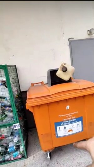 КОГДА БАЧОК ПОТИК