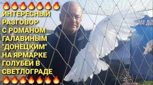 🔥🔥🔥Интересный разговор с Романом Галавиным "Донецким" на ярмарке голубей в г.Светлоград.